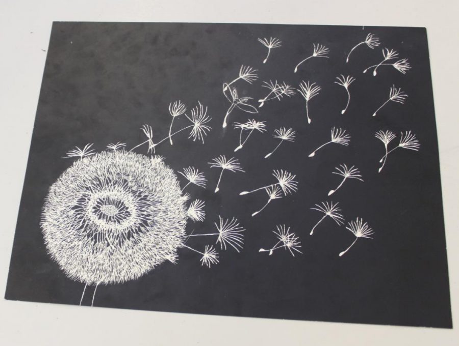 Sophomore Logan Livelys scratchboard is a dandelion blowing in the wind. Her inspiration comes from the dandelions in the field at her grandparents house when she was young. It represents growing up.